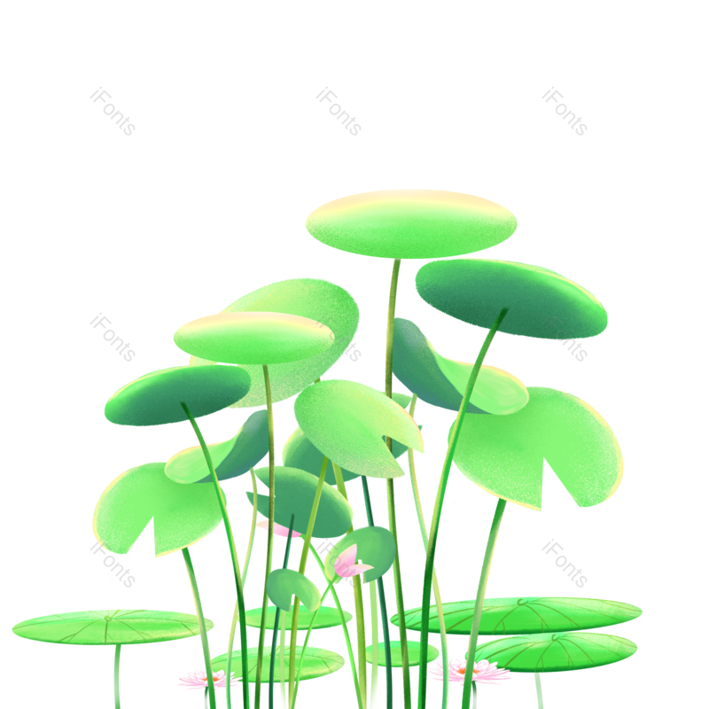 夏至图片,夏天元素,植物素材PNG,植物免抠素材